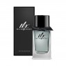 Burberry Mr. 100ml